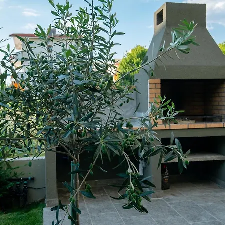 Apartment Olive 302 *