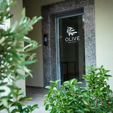 Olive 302 Appartement Peraía