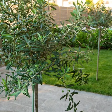 Appartement Olive 302 *