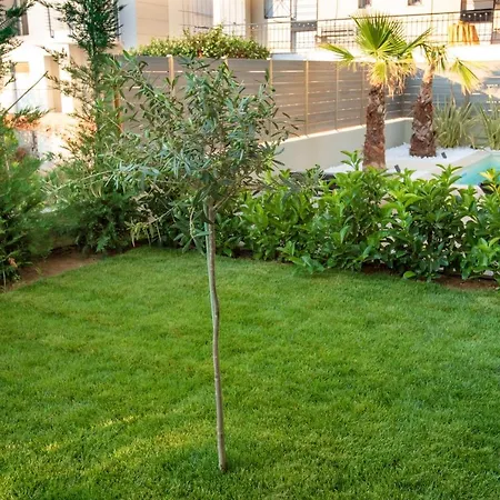Olive 302 Appartement