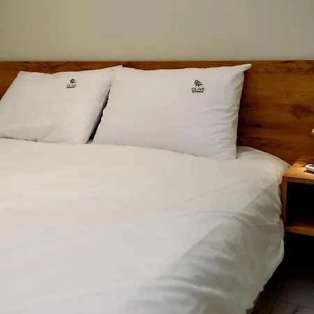 Olive 302 Apartment *