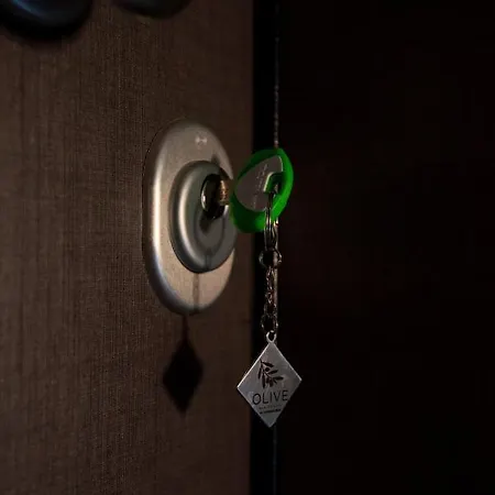 Apartmán Olive 302 *
